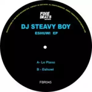 DJ Steavy Boy - Le Piano (Original Mix)